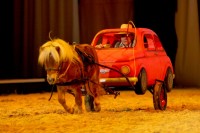 /album/fotogalerie-apassionata-2008/littlecar-jpg/